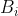B_i