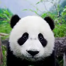  :3 