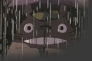 a Totoro