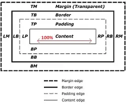 W3C box model