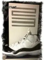 Air Jordan XI