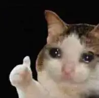 cryin cat