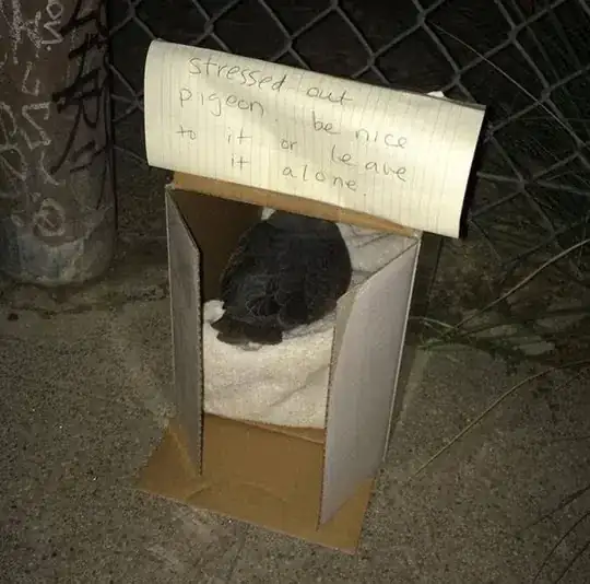 stressed out pigeon