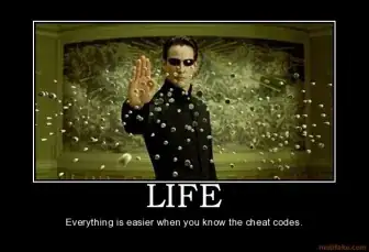 The program after a user inputs information.