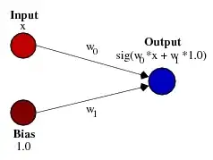 simple network with a bias