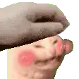 ss