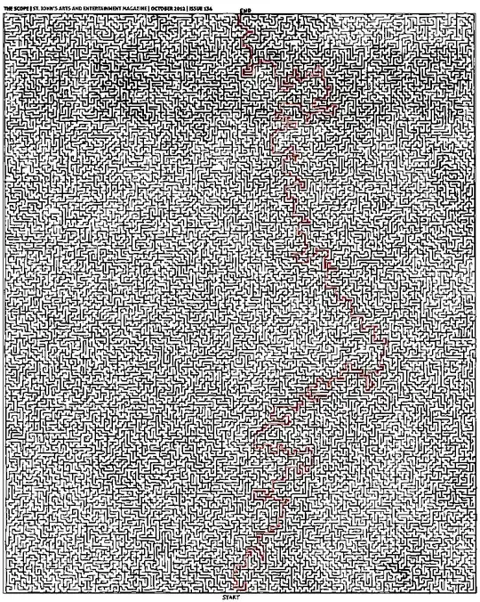 Completed Maze