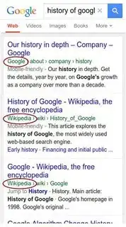 Search results website name