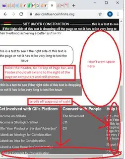 Same issue as above, but screenshot is from a computer and illustrates the issue in the footer area.