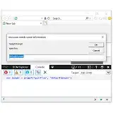 prompt in IE