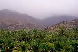 The area of 'Uqdah on the outskirts of Ha'il