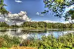 The Warta River