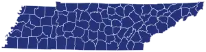 Final results by county