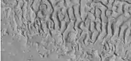 Surface forms in Ismenius Lacus, as seen by HiRISE under HiWish program