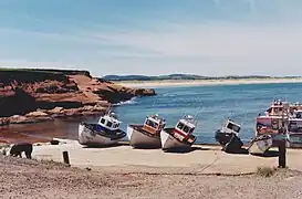 Old-Harry (Hamlet), in port, 5 boats pulled on the wood-covered beach (slips) 1996