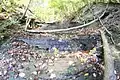 A minor tributary flowing into the Chagrin River, viewed from Cleveland Metropolitan Park