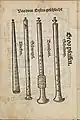 Cornett, shawms from Martin Agricola's book "Musica instrumentalis deudsch", published 1529. From left: straight cornett,  three-hole pipe, bombard, shawm.