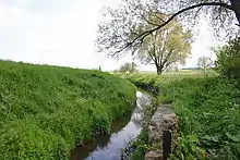 The Aller near Wefensleben, about 10 kilometres (6&nbsp;mi) below its source
