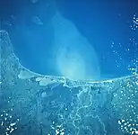 Satellite picture of the Papaloapan River ending at the Gulf of Mexico