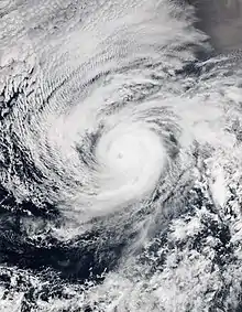 Satellite image of Hurricane Andres on June&nbsp;1