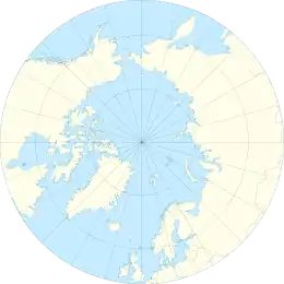 Vorkuta is located in Arctic
