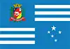 Flag of Assis