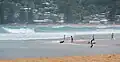 Avoca Beach, New South Wales- facing south towards Surf Club