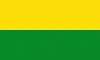 Flag of San Carlos