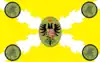 Flag of Comayagua