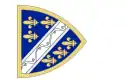 Banner of King Tvrtko I of Bosnia