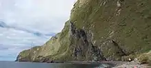 Steep green cliffs with a small shoreline with low vegetation