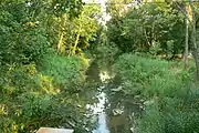 Beaver Creek