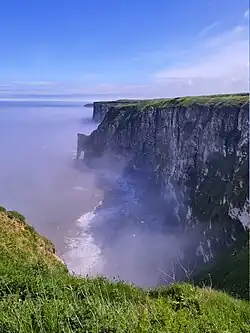 Staple Newk stack at Bempton Cliffs, UK, viewed from the New Roll Up viewing platform.