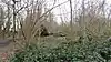 Big Wood, Sutton