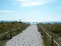 Path leading to the beach