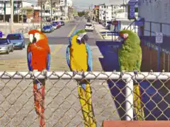 EGA 640 × 350&nbsp;×&nbsp;16 colors, EGA palette