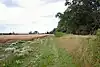 Black Ditches, Cavenham