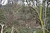 Bolter End Sand Pit