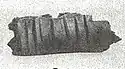 Bone rasp