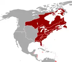 British colonies in continental North America (red) and the island colonies of the British West Indies of the Caribbean Sea (pink), after the French and Indian War (1754–1763) and before the American Revolutionary War (1775–1783)