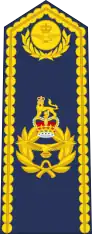An RAF air vice-marshal's shoulder board