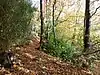 Brook Brick Pit