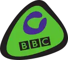 On 11 February 2002, the CBBC channel launched, and to coincide with it, CBBC introduced a new logo, consisting of a green bug with a C in purple.