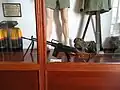 Cetme Rifle in the Museográfica de la Legión en Almería