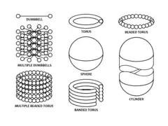A torus expanding from interconnected bolas or dumbbells