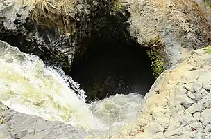 The cooking pot.