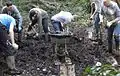 A corporate group digging out wet woodland (willow carr)