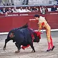 Tercio de muerte: El Matador pierces the heart of the bull with his sword.