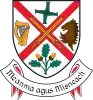 Coat of arms of County Kildare