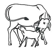 Approved symbol of Indira Gandhi Congress